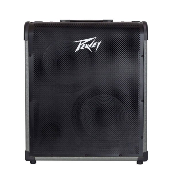 Peavey MAX 300 Bass Combo Amp
