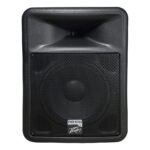 Peavey PR 12D 2-Way Powered PA Speaker