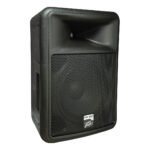 Peavey PR 12D 2-Way Powered PA Speaker - Image 3