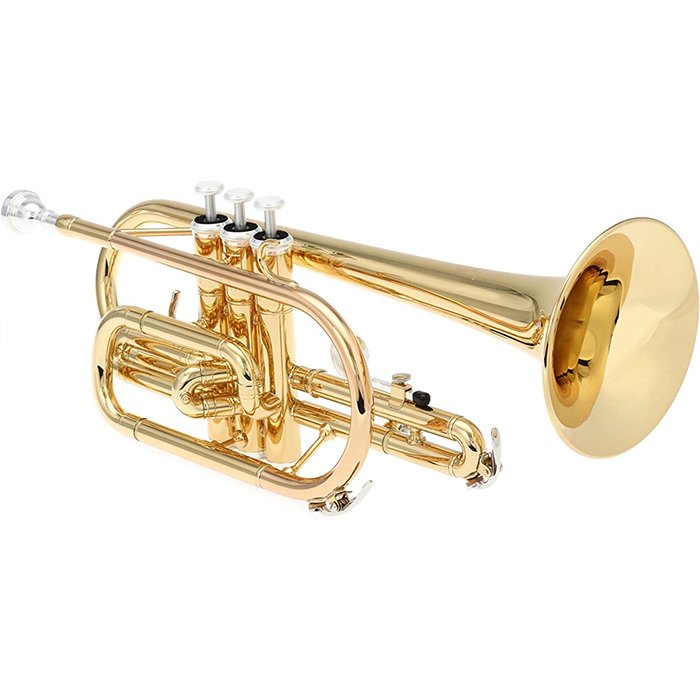 61uUOq4zdVL._AC_SL1500_ Yamaha YCR-2310lll Cornet - Image 2