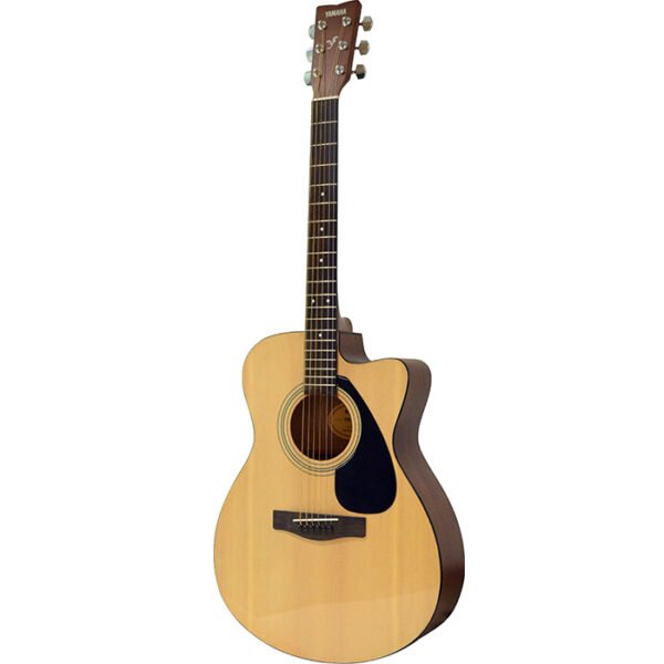 FS100C Acoustic Guitar