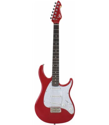 Raptor Custom Electric Guitar 1