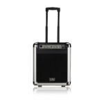 Soundking PA10W Portable PA System - Image 2